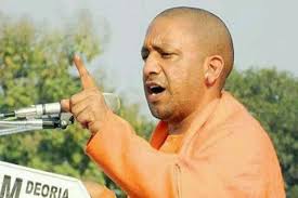 Yogi